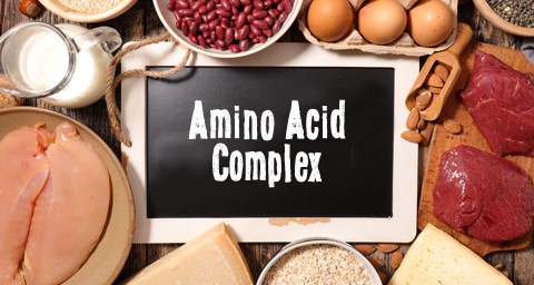 Σύμπλεγμα Αμινοξέων