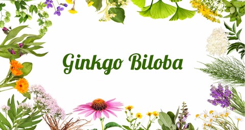 Σαλιβουρία (Ginkgo Biloba)