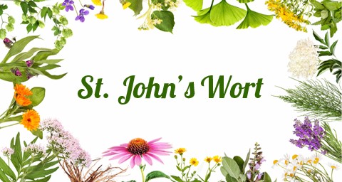 Βαλσαμόχορτο (St. John’s Wort)