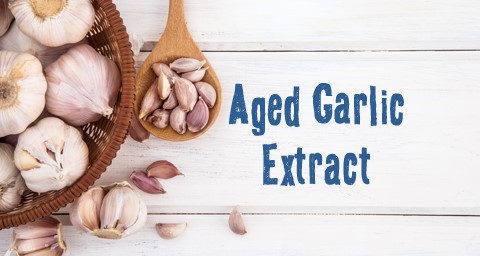 Εκχύλισμα σκόρδου ψυχρής ωρίμανσης