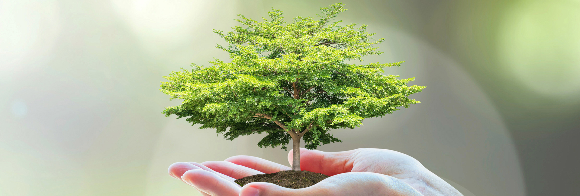 ποιοι είμαστε