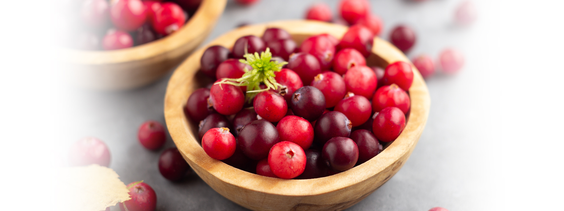 [[:ERROR:altTitleInternal property not found]]