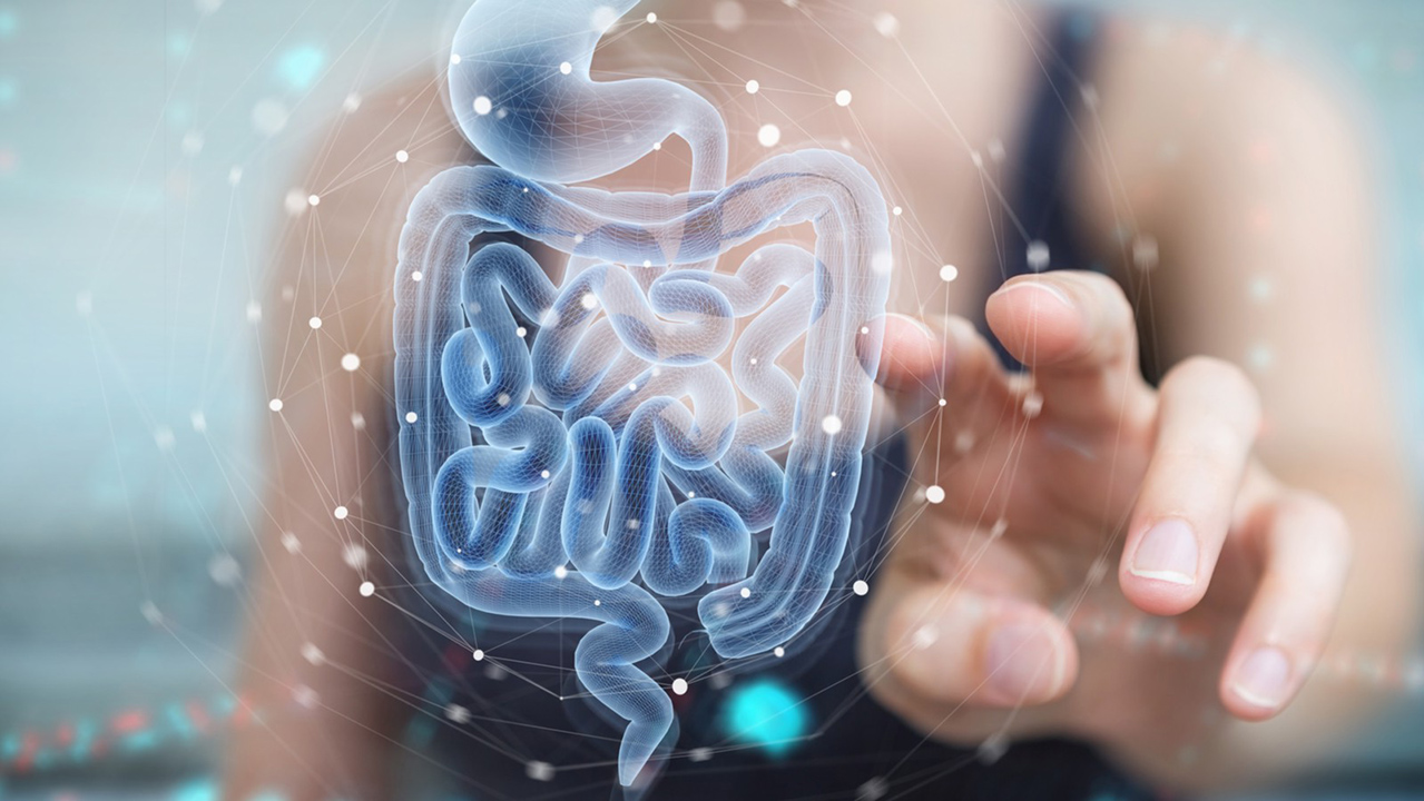 [[:ERROR:altTitleInternal property not found]]