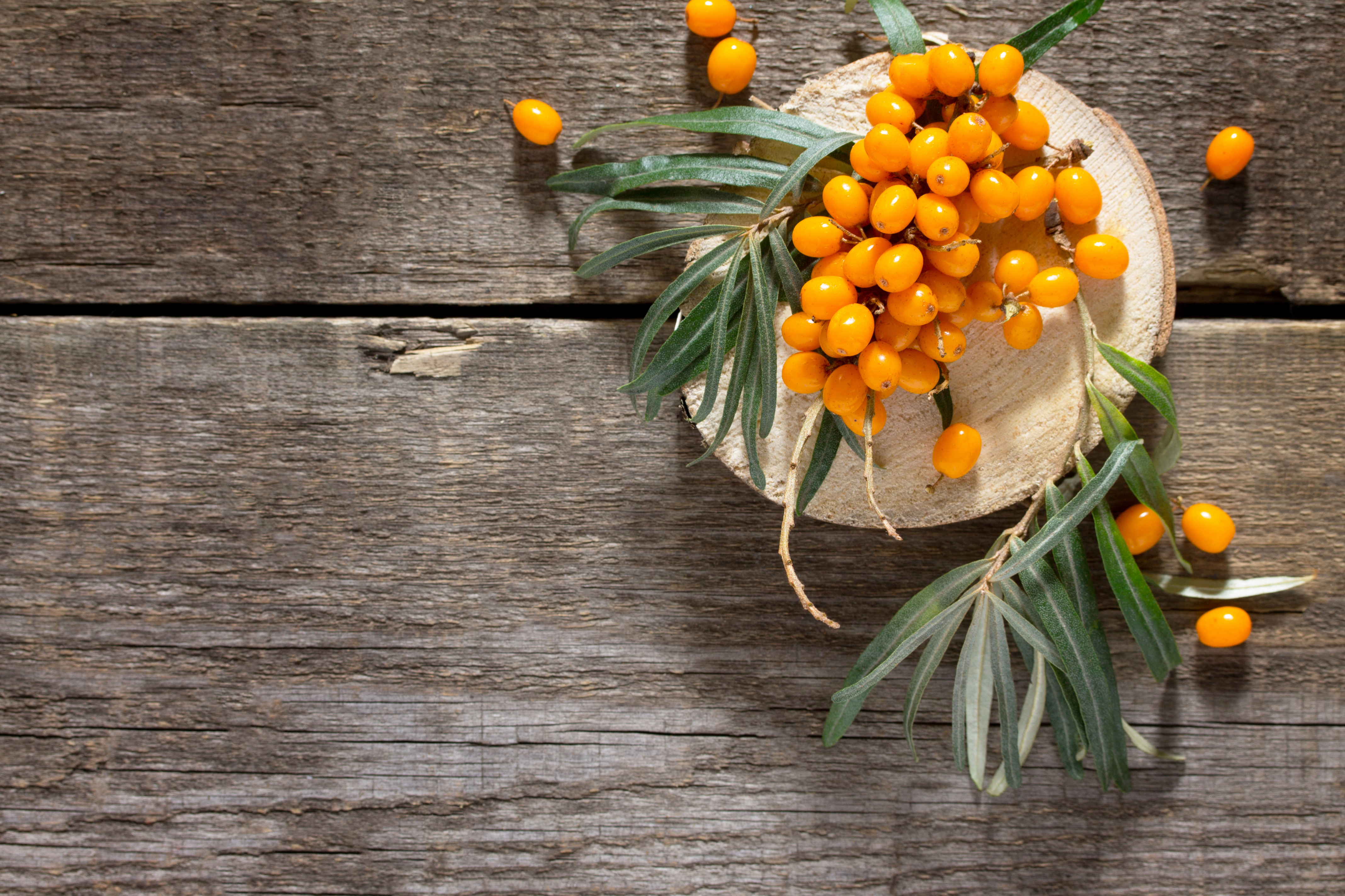 [[:ERROR:altTitleInternal property not found]]