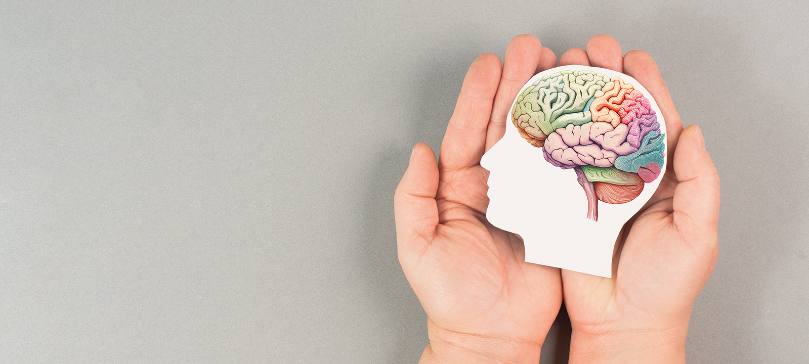 [[:ERROR:altTitleInternal property not found]]